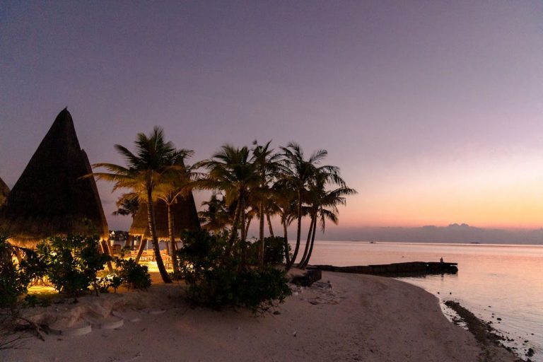 Building a Loyal Blog Audience: Strategies for Engagement and Growth